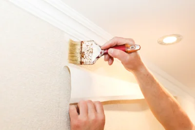 Pose de papier peint à Rovon — revêtements muraux et toiles de verre